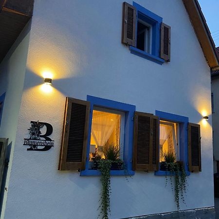 Ferienwohnung Blumenshein Bei Speyer Karlsruhe Familienfreundlich 5 Pers Zeiskam Exterior photo